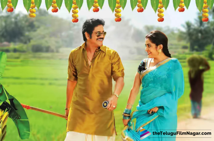 3 Years For Nagarjuna Blockbuster Movie Soggade Chinni Nayana,Telugu Filmnagar,Latest Telugu Movies News,Telugu Film News 2019,Tollywood Cinema Updates,Soggade Chinni Nayana Movie Updates,Soggade Chinni Nayana Telugu Movie Latest News,Nagarjuna Soggade Chinni Nayana Movie News,Akkineni Nagarjuna Soggade Chinni Nayana Telugu Movie Latest News,Three Years For King Nagarjuna Soggade Chinni Nayana Movie