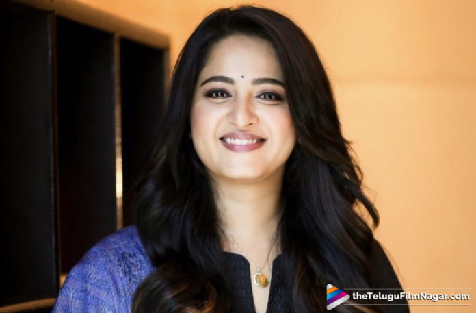 Hollywood Actor Michael Madson in Anushka New Movie,Telugu Filmnagar,Latest Telugu Movies News,Telugu Film News 2019,Tollywood Cinema Updates,Kill Bill actor Michael Madsen joins Anushka Shetty,Finally Anushka Shetty gets Hollywood Villain