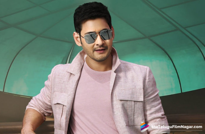 Latest Telugu Movies News, Mahesh Babu Next Film Details, Mahesh Babu To Play Cricketer Role, Mahesh Babu Upcoming Movie Latest News, Mahesh Babu Upcoming Movie News, Superstar Mahesh Babu Latest News, Telugu Film News 2019, Telugu Filmnagar, Tollywood Cinema Updates