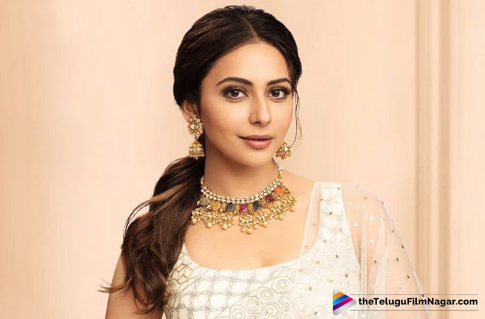 Rakul Preet Roped In For Venky Mama Movie,Telugu Filmnagar,Tollywood Cinema Latest News,Telugu Film Updates,Latest Telugu Movies 2019,Rakul Preet Singh To Feature in Venky Mama Movie,Actress Rakul Preet Singh Upcoming Movies,Rakul to Act in Venky Mama Movie,Venky Mama Movie Latest Updates,Rakul Preet Singh Next Film on Charts