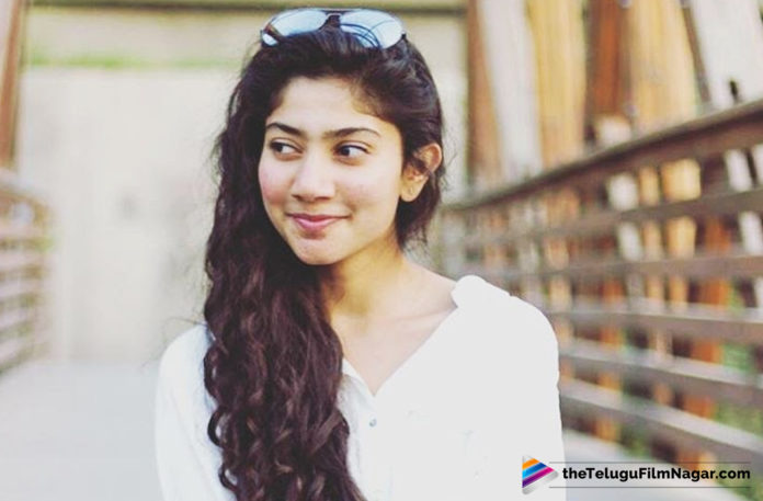 Sai Pallavi Awesome Gesture,Telugu Filmnagar,Tollywood Cinema Latest News,Telugu Film Updates,Latest Telugu Movies 2019,Actress Sai Pallavi Upcoming Movies News,Sai Pallavi New Movies News,Sai Pallavi Next Project Details,Sai Pallavi Next Film Updates,Sai Pallavi Next Movie Schedule