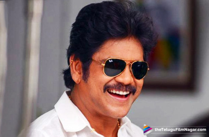 Nagarjuna To Act as Naga Chaitanya Grandfather,Telugu Filmnagar,Tollywood Cinema Latest News,Telugu Film Updates,Latest Telugu Movies 2019,Nagarjuna Movies Latest News,Nagarjuna Upcoming Film Role as Naga Chaitanya GrandFather,Latest Updates on Nagarjuna Movies,Akkineni Nagarjuna Movies Latest Details