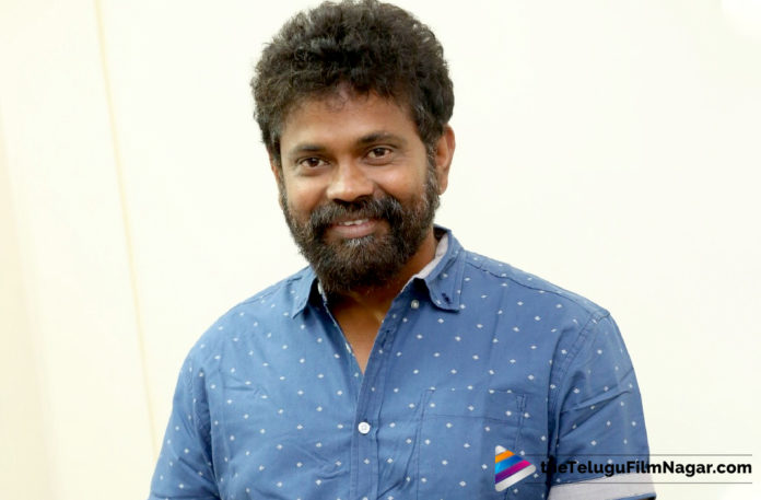 Sukumar Busy With his Upcoming Projects,Telugu Filmnagar,Latest Telugu Movie News,Telugu Film News 2019,Tollywood Cinema Updates,Director Sukumar Latest News,Sukumar New Movie Updates,Sukumar Next Film Updates
