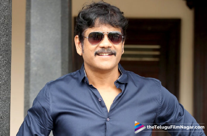 RX 100 Music Director for Manmadhudu 2?Telugu Filmnagar,Telugu Film Updates,Tollywood Cinema News,2019 Latest Telugu Movies News,Music Director for Manmadhudu 2 Movie,Manmadhudu 2 Movie Latest News,Nagarjuna Manmadhudu 2 Movie Music Director,Manmadhudu 2 Telugu Movie Latest Updates