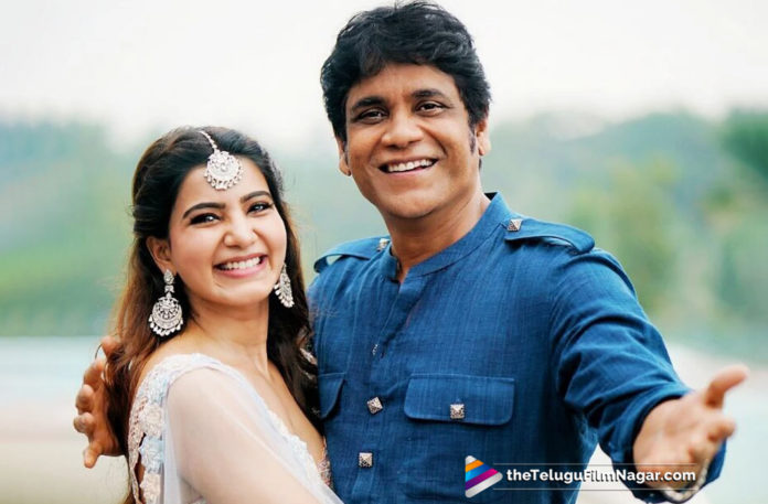Samantha in Manmadhudu Sequel,Telugu Filmnagar,Telugu Film Updates,Tollywood Cinema News,2019 Latest Telugu Movie News,Manmadhudu Sequel Latest Updates,Actress Samantha in Manmadhudu 2 Movie,Samantha Role in Nagarjuna Manmadhudu 2 Movie,Manmadhudu 2 Telugu Movie Latest News,Samantha To Act in Nagarjuna Manmadhudu Sequel Movie
