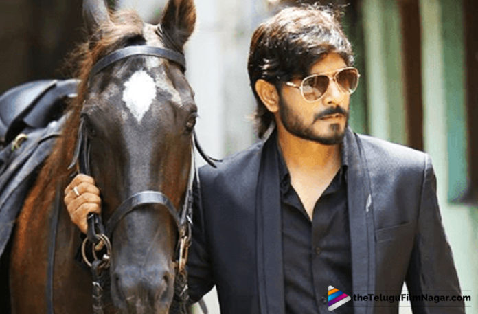 Kaushal Army Fires on Kaushal,Telugu Filmnagar,Telugu Film Updates,Tollywood Cinema News,2019 Latest Telugu Movies News,Kaushal Army Speaks About Kaushal,Kaushal Fans Reaction on Kaushal,Bigg Boss Season 2 Winner Kaushal Latest News,Kaushal Latest News,Kaushal Army Against to Kaushal