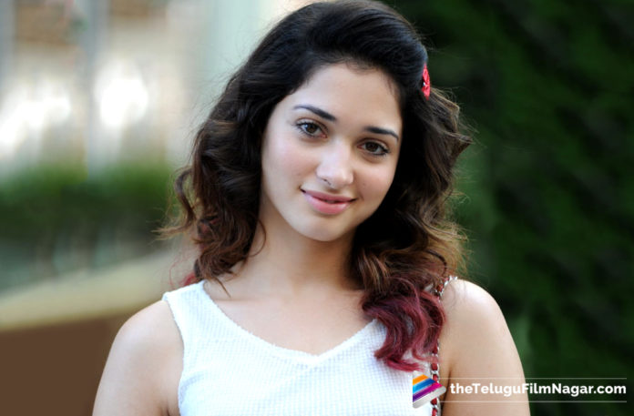 Interesting Update About Tamannaah Latest Movie,Telugu Filmnagar,Telugu Film Updates,Tollywood Cinema News,2019 Latest Telugu Movie News,Tamannaah New Movie Updates,Actress Tamannaah Play a Negative Role in Her Next Movie,Tamannaah Next Project Details,Tamannaah Role in Her New Film