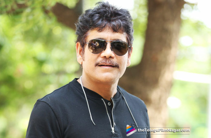 Nagarjuna To Act In Another Sequel?,Telugu Filmnagar,Telugu Film Updates,Tollywood Cinema News,2019 Latest Telugu Movie News,Nagarjuna in Another Sequel,Akkineni Nagarjuna New Movie Updates,Nagarjuna To Act in Raju Gari Gadhi 2 Sequel,Nagarjuna Next Film Updates,Nagarjuna Upcoming Movies