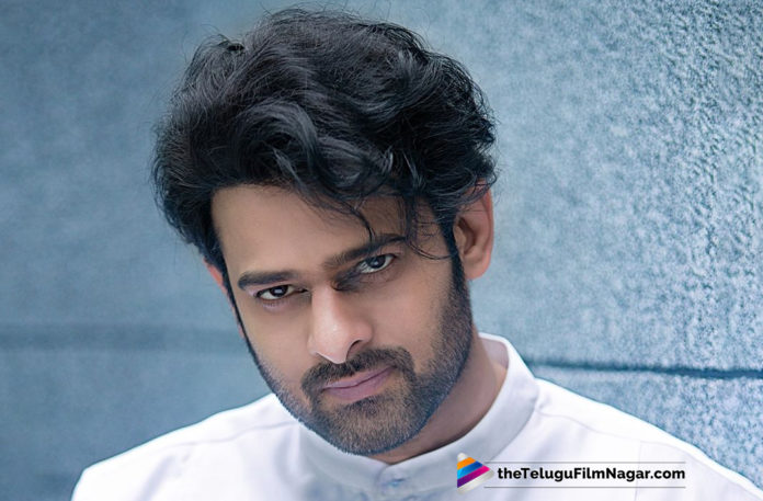 Hollywood Stunt Director Praises Prabhas,Telugu Filmnagar,Telugu FilmUpdates,Tollywood Cinema News,2019 Latest Telugu Movie News,Prabhas Saaho Movie Latest Updates,Saaho Telugu Movie Latest News,Prabhas About Hollywood Crew Of Saaho,Saaho Movie Hollywood Crew News,Prabhas Shocks The Hollywood Crew Of Saaho