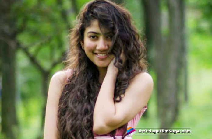 Sai Pallavi In Mahesh Babu Next Film?,Telugu Filmnagar,Telugu Film Updates,Tollywood Cinema News,2019 Latest Telugu Movies News,Mahesh Babu Next Movie With Sai Pallavi,Sai Pallavi Paired Opposite Mahesh Babu,Sai Pallavi To Feature With Super Star Mahesh Babu,Sai Pallavi Roped With Mahesh Babu,Mahesh Babu New Movie Updates