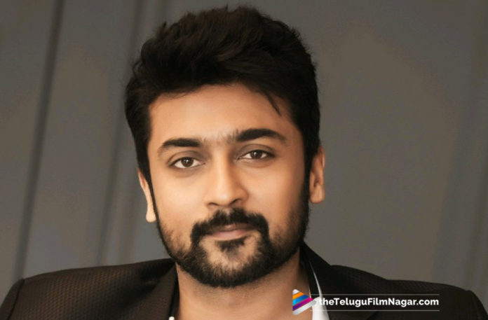 Actor Suriya Upcoming Movie News, Hero Suriya Next Film News, Latest Telugu Movie News, Suriya New Movie Latest News, Suriya Next Film Updates, Suriya To Work With Ajith Director, Telugu Film News 2019, Telugu Filmnagar, Tollywood Cinema Updates