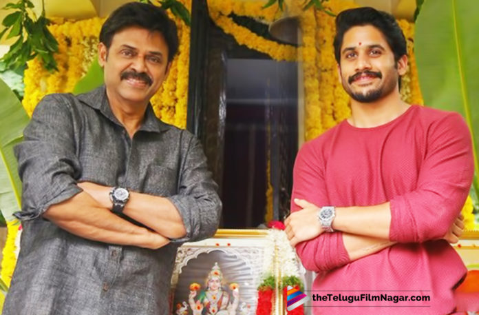 Venky Mama Movie Next Schedule Update 2019 Latest Telugu Movie News, Telugu Film Updates, Telugu Filmnagar, Tollywood Cinema News, Venkatesh and Naga Chaitanya Venky Mama Movie Shooting News, Venky Mama Movie Latest Shooting Updates, Venky Mama Movie Latest Updates, Venky Mama Movie New Shooting Schedule, Venky Mama Movie Next Schedule Update, Venky Mama Telugu Movie Latest News