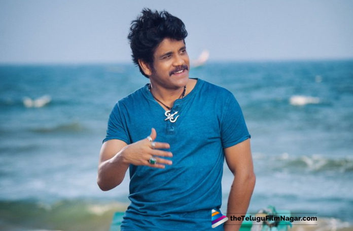Manmadhudu 2 Movie Shoot To Commence From Tomorrow,Telugu Filmnagar,Telugu Film Updates,Tollywood Cinema News,2019 Latest Telugu Movie News,Manmadhudu 2 Movie Shooting Updates,Nagarjuna Manmadhudu 2 Movie Shooting News,Manmadhudu 2 Movie Another Shooting Schedule,Manmadhudu 2 Movie Shooting Location