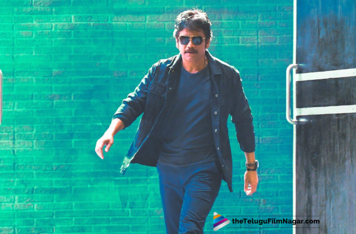 Akkineni Nagarjuna Upcoming Movie News, Brahmastra Movie Telugu Title Logo Unveiled, Brahmastra Movie Updates, Brahmastra Telugu Movie Latest News, Latest Telugu Movies News, Nagarjuna New Movie Details, Nagarjuna Next Film Updates, Nagarjuna To Work With This Bollywood Star For Brahmastra, Telugu Film News 2019, Telugu Filmnagar, Tollywood Cinema Updates
