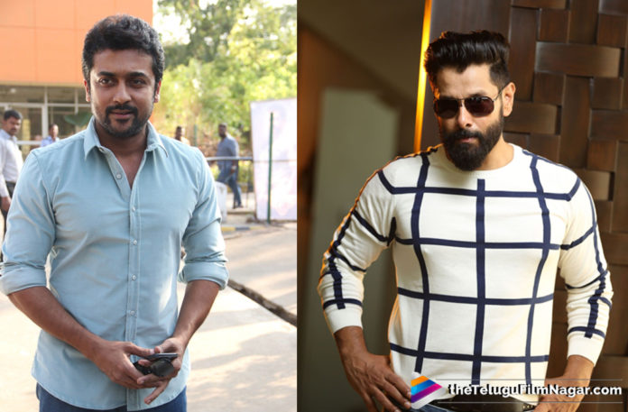 Vikram to compete With Suriya,Telugu Filmnagar,Telugu Film Updates,Tollywood Cinema News,2019 Latest Telugu Movie News,Vikram New Movie To Clash With Suriya New Movie,Suriya Next Film Updates,Vikram Vs Suriya at Box Office,Vikram New Movie Latest News