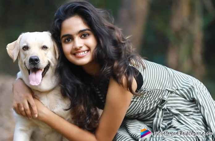 kerala Actress Roped in For Mega Hero Vaishnav Tej New Movie,Telugu Filmnagar,Telugu Film Updates,Tollywood Cinema News,2019 Latest Telugu Movie News,Actress Devika Sanjay and Vaishnav Tej To Team Up For Debut Film,Devika Sanjay and Vaishnav Tej To Work Together For New Movie,kerala Actress To Pair Up With Vaishnav Tej Debut Film,Vaishnav Tej New Movie Updates,Mega Hero Vaishnav Tej Next Project Details
