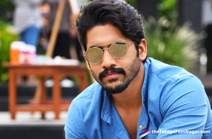 Naga Chaitanya Hits a hattrick With Venky Mama,Telugu Filmnagar,Telugu Film Updates,Tollywood Cinema News,2019 Latest Telugu Movie News,Naga Chaitanya New Movie Updates,Naga Chaitanya Venky Mama Movie Latest News,Venky Mama Telugu Movie Latest News,Naga Chaitanya Third Sentiment Work Out With Venky Mama Movie
