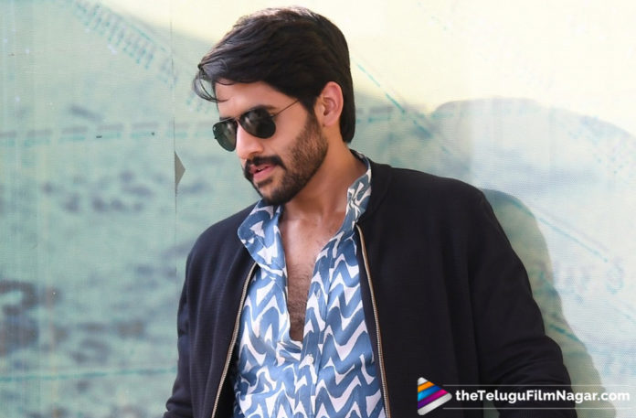 Soggade Chinni Nayana 2 Confirmed,Telugu Filmnagar,Telugu Film Updates,Tollywood Cinema News,2019 Latest Telugu Movie News,Naga Chaitanya Fixed For Soggade Chinni Nayana 2,Nagarjuna Ready For Soggade Chinni Nayana Sequel,Soggade Chinni Nayana 2 Movie Latest Updates,Soggade Chinni Nayana 2 Movie Details Revealed,Soggade Chinni Nayana 2 On The Cards