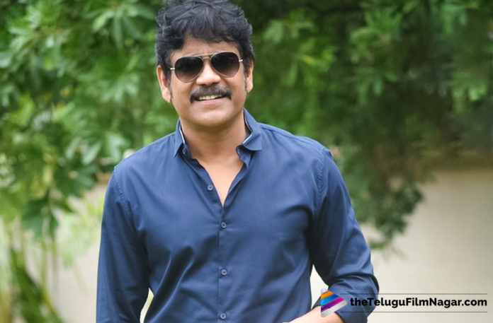 Nagarjuna Praises Naga Chaitanya and Samantha Performance in Majili Movie,Telugu Filmnagar,Telugu FilmUpdates,Tollywood Cinema News,2019 Latest Telugu Movie News,Nagarjuna Appreciates Naga Chaitanya And Samantha,Akkineni Nagarjuna About Majili Movie,Majili Telugu Movie Latest News,Nagarjuna Best Wishes to Majili Team,Nagarjuna Full Of Praise For Naga Chaitanya And Samantha