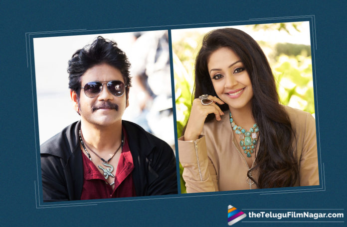 Nagarjuna and Jyothika to Work Together Again?,Telugu Filmnagar,Telugu Film Updates,Tollywood Cinema News,2019 Latest Telugu Movie News,Nagarjuna and Jyothika Combo is Back,Nagarjuna and Jyothika To Team Up Once Again,Nagarjuna and Jyothika To Hit the Screen Once Again,Nagarjuna and Jyothika Roped For Next Project,Jyothika To Pair Up With Nagarjuna For Her New Movie
