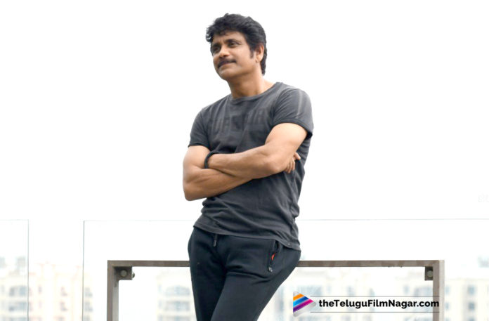 Samantha and Naga Chaitanya To Play Important Roles In Nagarjuna Sequel Movies?,Telugu Filmnagar,Telugu Film Updates,Tollywood Cinema News,2019 Latest Telugu Movie News,Nagarjuna Upcoming Sequel Movie News,ChaySam To Play Crucial Roles in Nagarjuna Sequel Movies,Nagarjuna New Movie News,Nagarjuna Next Film Details