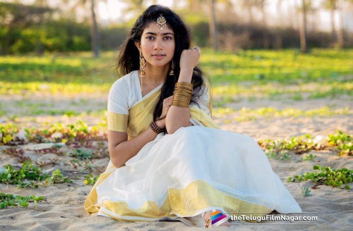 Sai Pallavi To Make Her Debut In Sandalwood,Telugu Filmnagar,Telugu Film Updates,Tollywood Cinema News,2019 Latest Telugu Movie News,Sai Pallavi New Movie Updates,Actress Sai Pallavi Makes Sandalwood Film Debut,Sai Pallavi Next in Sandalwood Debut,Sai Pallavi Upcoming Movies