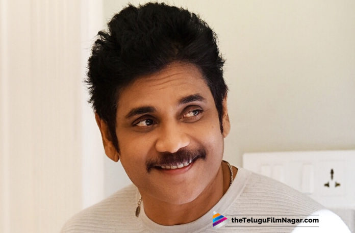 Nagarjuna Manmadhudu 2 Movie Latest Stills Go Viral,Telugu Filmnagar,Telugu Film Updates,Tollywood Cinema News,2019 Latest Telugu Movie News,Nagarjuna Stylish Stills From Manmadhudu 2 Go Viral,Nagarjuna Manmadhudu 2 Shooting Stills Viral,Nagarjuna Manmadhudu 2 Movie Working Looks,Manmadhudu 2 Movie Shooting Latest Updates