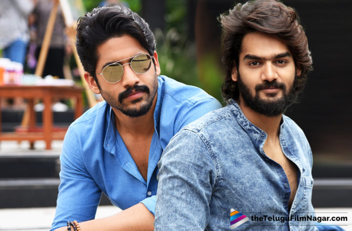 Karthikeya Guest Role in Naga Chaitanya New Movie,Telugu Filmnagar,Telugu Film Updates,Tollywood Cinema News,2019 Latest Telugu Movie News,Naga Chaitanya New Movie Latest Updates,Karthikeya To Play a Cameo Role in Naga Chaitanya Next Film,Karthikeya and Naga Chaitanya To Team Up For Next,RX 100 Hero Karthikeya To Work With Naga Chaitanya