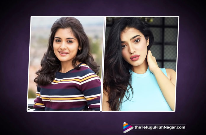 Two Other Heroines Roped In For Allu Arjun And Trivikram Movie,Telugu Filmnagar,Telugu Film Updates,Tollywood cinema News,2019 Latest Telugu Movie News,Allu Arjun And Trivikram Movie Heroines,Niveda Thomas and Katrina to Work With Allu Arjun,Allu Arjun New Movie Heroines,#AA19 Movie Heroines