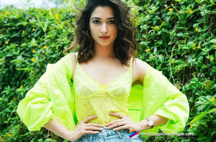 Tamannaah About Sye Raa Narasimha Reddy Movie,Tamannaah Having An Exciting Career,Telugu Filmnagar,Telugu Film Updates,Tollywood Cinema News,2019 Latest Telugu Movie News,Tamanna Next Film Updates,Tamannaah About Mega Star Film,Actress Tamanna So Exciting For Sye Movie,Sye Movie Latest Updates,Tamanna Says I am So Excited To Work Mega Star