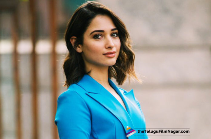 Double Bonanza For Tamannaah Fans,Telugu Filmnanagar,Telugu Film Updates,Tollywood Cinema News,2019 Latest Telugu Movie News,Tamannaah Gives Big Surprise To Her Fans,Actress Tamannaah New Movie Updates,Tamannaah Next Project Details,Tamannaah Upcoming Film News