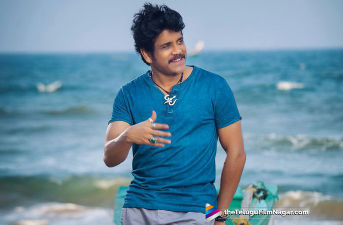 33 Years For Nagarjuna In TFI,Telugu Filmnagar,Telugu Film Updates,Tollywood cinema News,2019 Latest Telugu Movie News,Nagarjuna Completes 33 Years in Film Industry,Akkineni Nagarjuna SuccessFul Journey in TFI,Nagarjuna Turns 33 Years in Telugu Film Industry,Film Journey of EverGreen Hero Nagarjuna