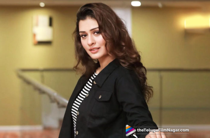 RX 100 Heroine In Balakrishna New Movie? RX 100 Heroine In Balakrishna New Movie?,Telugu Filmnagar,Telugu Film Updates,Tollywood Cinema News,2019 Latest Telugu Movie News,RX 100 Heroine To Pair Up With Balakrishna,Payal Rajput Next With Balakrishna,RX 100 Heroine and Balakrishna To Work Together,Payal Rajput New Movie Updates,Actress Payal Rajput Roped For Balakrishna Next Film