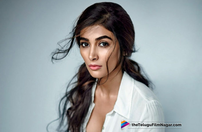 Pooja Hegde To Pair Up With Varun Tej,Telugu Filmnagar,Telugu Film Updates,Tollywood Cinema News,2019 Latest Telugu Movie News,Pooja Hegde Next With Varun Tej New Movie,Varun Tej To Feature With Pooja Hegde,Pooja Hegde and Varun Tej To Team Up Again,Varun Tej Roped For Pooja Hegde,Pooja Hegde To Work With Mega Hero