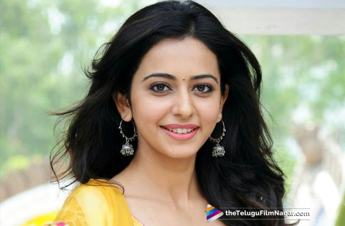 NGK A Very Special Movie For Rakul Preet,Telugu Filmnagar,Telugu Film Updates,Tollywood Cinema News,2019 Latest Telugu Movie News,Rakul Preet About NGK Movie,Rakul Preet Says NGK is Special Movie,NGK Telugu Movie Latest Updates,Rakul Preet New Movie Updates