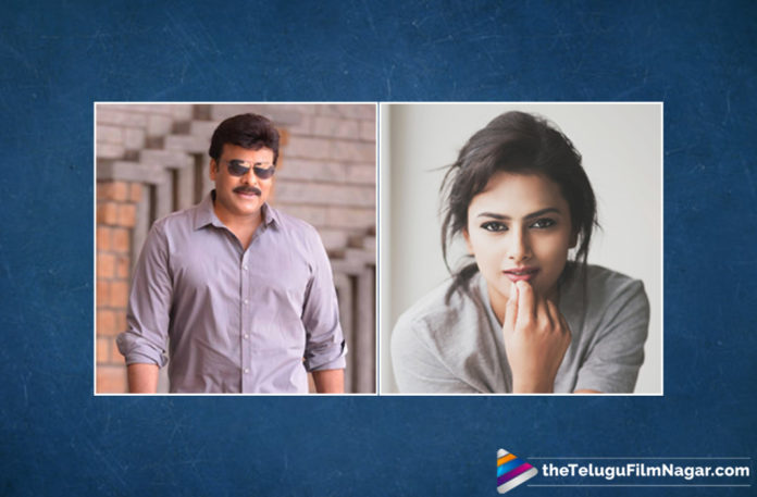 Shraddha Srinath in consideration for Chiranjeevi and Koratala Siva Movie Shraddha Srinath in consideration for Chiranjeevi and Koratala Siva Movie,Telugu Filmnagar,Telugu Film Updates,Tollywood Cinema News,2019 Latest Telugu Movie News,Shraddha Srinath Next With Chiranjeevi,Chiranjeevi and Shraddha Srinath To Team Up For Next,Shraddha Srinath to Work With Chiranjeevi,Shraddha Srinath Pair Up With Chiranjeevi Next Film,Chiranjeevi Roped in For Shraddha Srinath