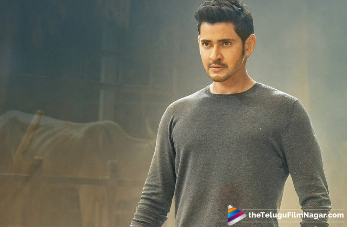 Mahesh Babu Turns Unique Producer,Telugu Filmnagar,Telugu Film Updates,Tollywood Cinema News,2019 Latest Telugu Movie News,Mahesh Babu Next Film Updates,Mahesh Babu to Co Produce Mahesh 26,Mahesh Babu Becomes as a Film Producer,Mahesh Babu as a Producer in His Next Movie