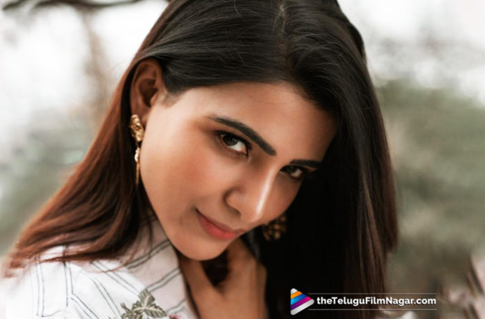 Samantha Role In Manmadhudu 2 Revealed,Telugu Filmnagar,Telugu Film Updates,2019 Latest Telugu Movie News,Tollywood Cinema News,Samantha Role in Manmadhudu 2 Movie,Manmadhudu 2 Movie Latest Updates,Samantha Character in Manmadhudu 2,Samantha To Play an Important Role in Manmadhudu 2