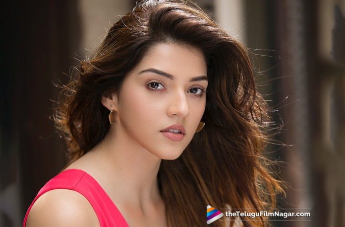 F2 Heroine To Make Debut in Punjabi Movie,Telugu Filmnagar,Telugu Film Updates,Tollywood Cinema News,2019 Latest Telugu Movie News,Mehreen To Debut in Punjabi Movie,F2 Heroine Entry in Punjabi Film,Mehreen Next Film Details,Mehreen Got a Chance in Punjabi Movie