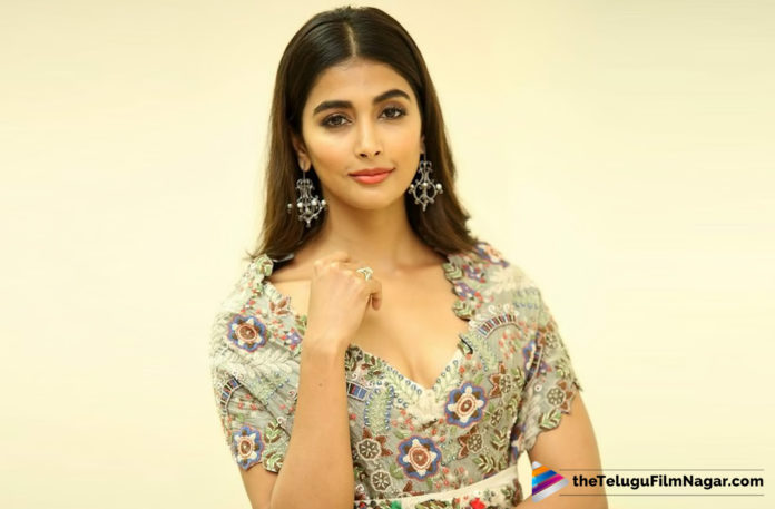 Pooja Hegde Roped in for Mumbai Saga,Telugu Filmnagar,Latest Telugu Movies News,Telugu Film News 2019,Tollywood Cinema Updates,Pooja Hegde Latest News,Pooja Hegde Upcoming Movie News,Pooja Hegde Next Film Updates,Pooja Hegde Next Movie News,#PoojaHegde