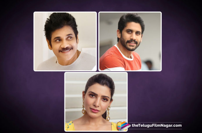 Akkineni Heroes Back To Back Films, Akkineni Heroes Next Films List, Akkineni Heroes To Entertain Their Fans With Back To Back Movies, Akkineni Heroes Upcoming Movies List, Latest Telugu Movies News, Telugu Film News 2019, Telugu Filmnagar, Tollywood Cinema Updates