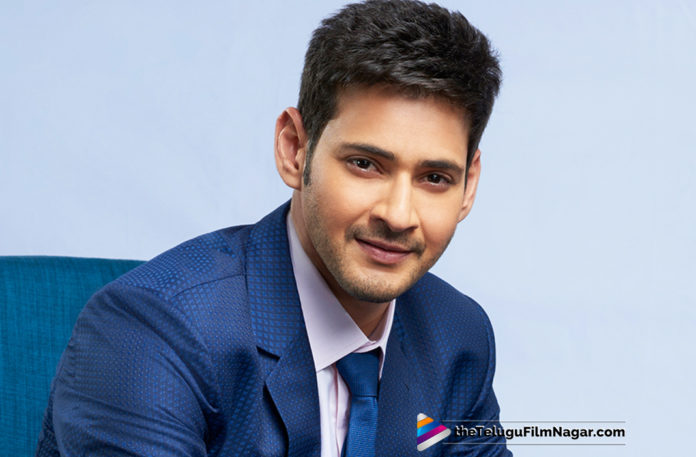 Italy Stunt Directors Team For Mahesh Babu Movie,Telugu Filmnagar,Latest Telugu Movies News,Telugu Film News 2019,Tollywood Cinema Updates,Mahesh Babu Upcoming Movie News,Mahesh Babu Next Film Updates,Mahesh Babu New Film Updates,Mahesh Babu to play an army man,Mahesh Babu working with Hollywood Stuntman