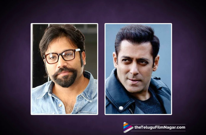 2019 Latest Telugu Movie News, Director sandeep vanga next movie updates, Salman khan latest movie news, Salman khan movie under direction Sandeep vanga, Salman khan next film with Sandeep Vanga, Salman khan next movie updates, Salman To Make A Movie With Sandeep Vanga, Telugu Film Updates, Telugu Filmnagar, Tollywood Cinema News