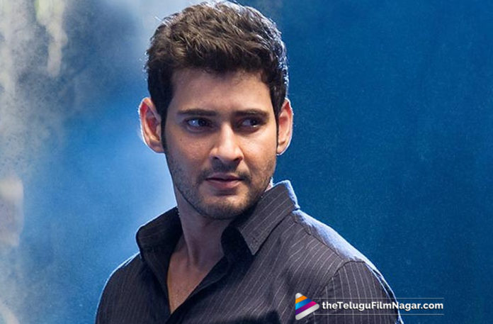 2019 Latest Telugu Movie News,North Indians Thank Superstar Mahesh Babu,North Indians Special Thanks To Super Star,Director Sandeep Vanga About Mahesh Babu New Movie,Director Sandeep Gives Clarity On Mahesh Babu Movie,Telugu Film Updates,Telugu Filmnagar,Tollywood Cinema News