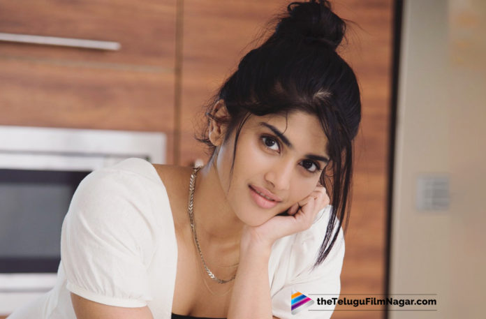 2019 Telugu Full Movies, Megha Akash Signs A Crazy Project, Megha Akash Signs Her Next Big Project, Megha Akash committed for new project, Megha Akash busy with new project, Actress Megha Akash new project details, Megha Akash new movies, Telugu Film Updates, Telugu Filmnagar, Tollywood Cinema News