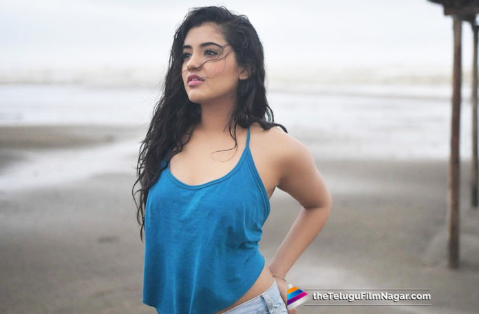 Malavika Sharma to Make Kollywood Debut with Vaibhav Movie,Telugu Filmnagar,Telugu Film Updates,Tollywood Cinema News,2019 Latest Telugu Movie News,Nela Ticket Movie Actress Next in Kollywood Debut,Malavika Sharma To Make Tamil Film With Vaibhav,Actress Malavika Sharma New Movie Updates,Malavika Sharma Likely To do Tamil Debut