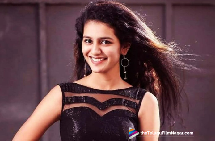 Priya Prakash Varrier to pair up with Nithiin,Telugu Filmnagar,Latest Telugu Movies News,Telugu Film News 2019,Tollywood Cinema Updates,Priya Varrier to Pair up with Nithiin,Priya Prakash Varrier Latest News,Priya Prakash Varrier Upcoming Movie With Nithiin,Priya Prakash Varrier Next Film Updates