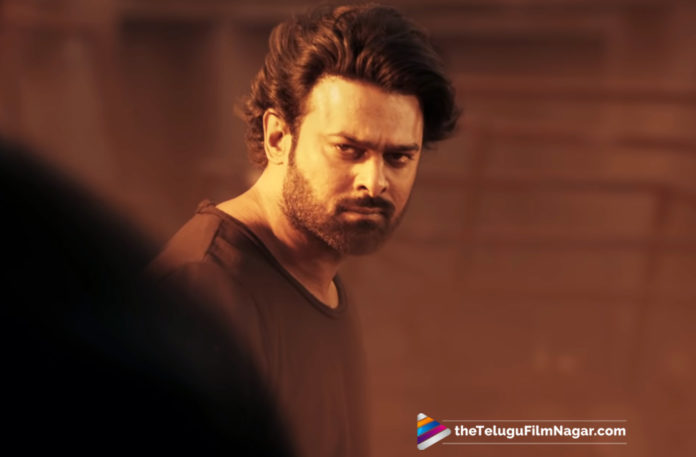 Rebel Star Prabhas About Saaho Movie,Telugu Filmnagar,Telugu Film Updates,Tollywood Cinema News,2019 Latest Telugu Movie News,Prabhas About Saaho,Saaho Movie Latest Updates,Saaho Telugu Movie News,Saaho Movie Shooting Details,Prabhas About His Action Thriller Movie