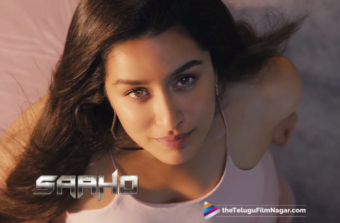 2019 Latest Telugu Movie News, Shraddha Kapoor About Saaho Team, Shraddha Kapoor About Working For Saaho Movie, Shraddha Kapoor Thanks Her Saaho Fans, Shraddha Kapoor Thanks Saaho Fans For Their Love, Telugu Film Updates, Telugu Filmnagar, Tollywood Cinema News