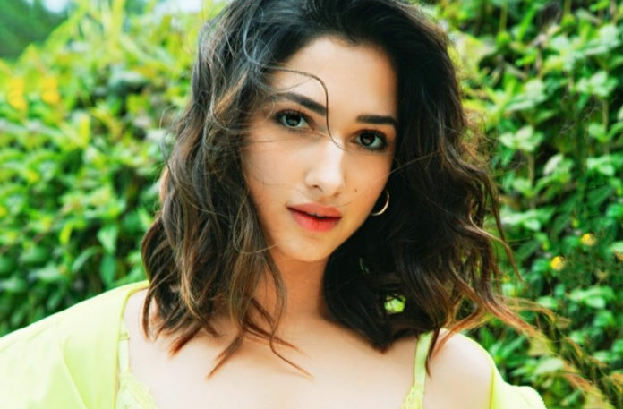 Latest Telugu Movies News, Raju Gari Gadhi 3 Movie Shooting Latest News, Raju Gari Gadhi 3 Movie Updates, Raju Gari Gadhi 3 Telugu Movie Latest News, Raju Gari Gadhi 3 Telugu Movie Shooting Latest Updates, Tamanna Raju Gari Gadhi 3 to Commence from July, Tamannaah Raju Gari Gadhi 3 to Commence from July, Telugu Film News 2019, Telugu Filmnagar, Tollywood Cinema Updates